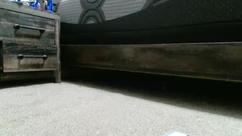 sxtn002 online show from December 2024 01:25:01 AM