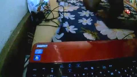 Snapshot of sylviasexy27 chatting on November 2025 09:36:01 AM sylviasexy27 online show from November 2025 09:36:01 AM