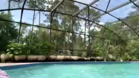 Jennah online show from July 2026 07:51:01 PM