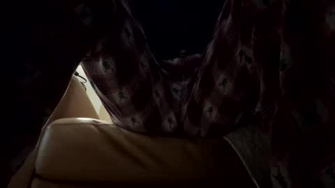 tRex online show from December 2025 12:49:02 AM