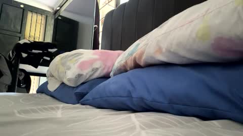 tali  online show from February 2026 02:40:02 PM