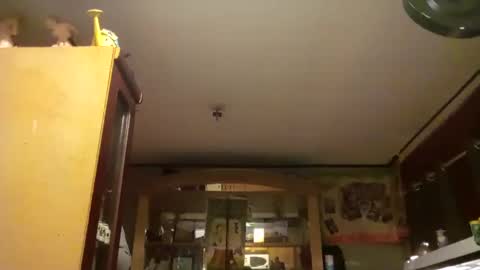 Snapshot of taliban809 chatting on February 2025 08:05:02 AM taliban809 online show from February 2025 08:05:02 AM