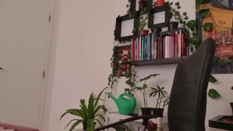 Tali Majid online show from January 2026 05:33:02 AM