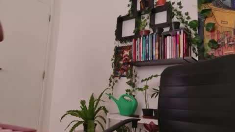 Tali Majid online show from January 2026 05:38:02 PM