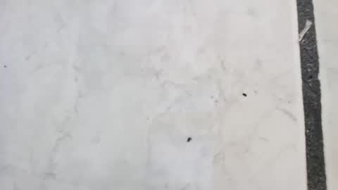 tall6feet7inch online show from September 2025 11:42:01 AM