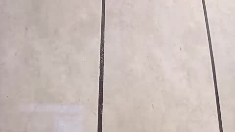 tall6feet7inch online show from October 2025 12:02:02 PM