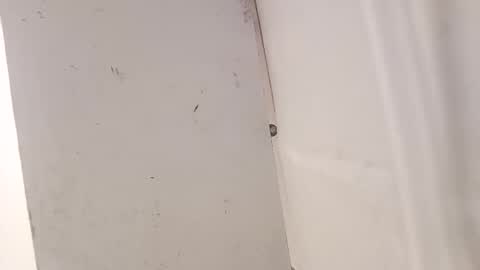 tall6feet7inch online show from December 2025 07:36:02 AM