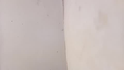 tall6feet7inch online show from February 2026 07:13:01 AM