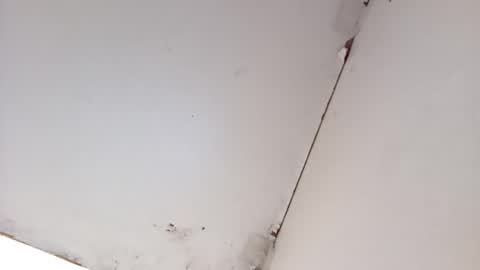 tall6feet7inch online show from March 2026 08:40:01 AM