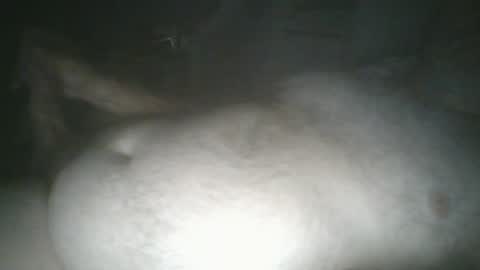 tallicas2000 online show from July 2026 01:44:02 AM