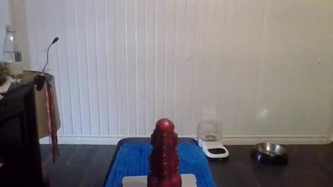 tallman_007 online show from November 2025 05:55:02 PM