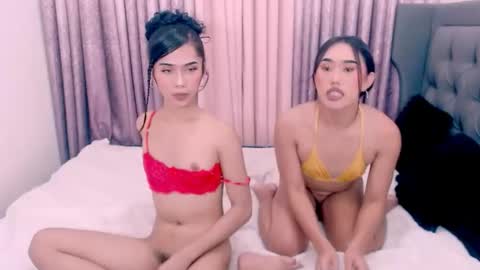 tally_pleasure online show from March 2026 08:53:02 AM