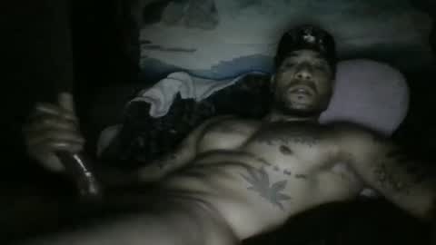 tallyellow online show from September 2025 06:59:01 AM