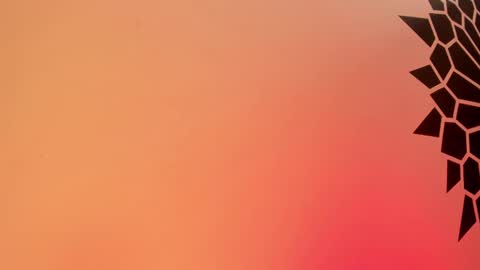 Snapshot of tamarathompsonn chatting on February 2025 03:49:02 PM Tamara. online show from February 2025 03:49:02 PM