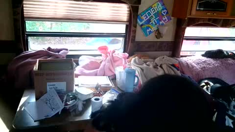 tastycakes999 online show from November 2025 06:45:01 PM