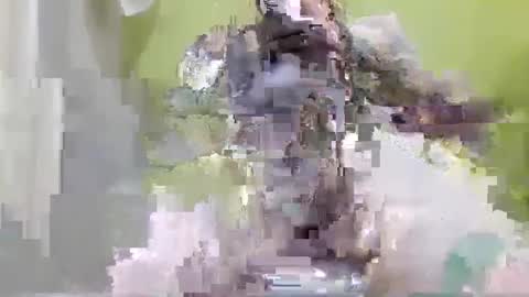 tattoo3333 online show from September 2025 02:38:02 PM