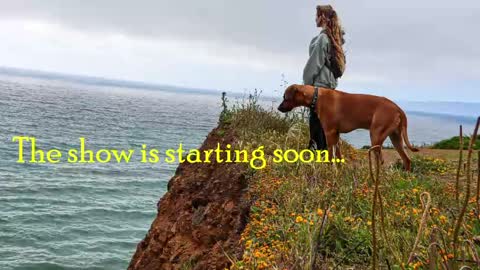 Snapshot of tatum__kahlo chatting on May 2026 09:44:02 PM TATUM ALL MY LINKS online show from May 2026 09:44:02 PM