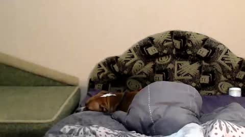 Taya online show from February 2025 11:27:01 PM