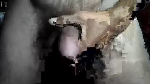 taylor3made online show from February 2026 08:46:02 AM