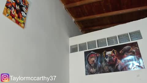 Taylor Mccarthy online show from January 2025 01:32:02 AM