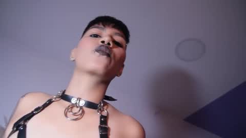 Taylor online show from November 2025 08:09:01 PM