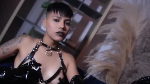 Taylor online show from February 2026 08:15:01 PM