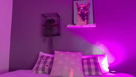 TAYLOR  online show from November 2025 11:47:01 AM