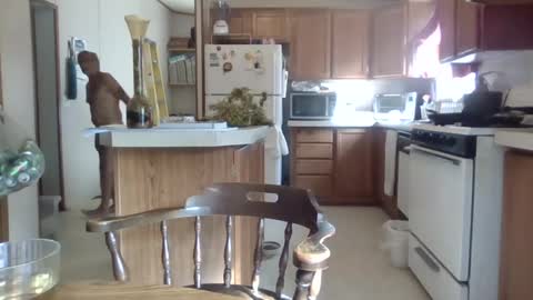 Teak online show from October 2025 08:15:01 PM