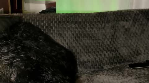 Snapshot of teo_369 chatting on January 2026 04:09:01 PM Teo online show from January 2026 04:09:01 PM