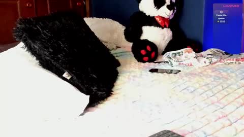 Snapshot of teo_369 chatting on March 2026 08:26:01 PM Teo online show from March 2026 08:26:01 PM