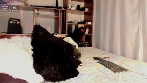 Snapshot of teo_369 chatting on March 2026 10:04:02 PM Teo online show from March 2026 10:04:02 PM