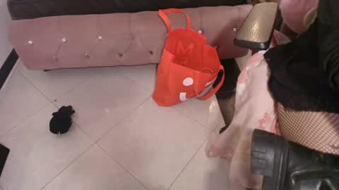 Terra Elowen online show from December 2025 11:28:01 AM