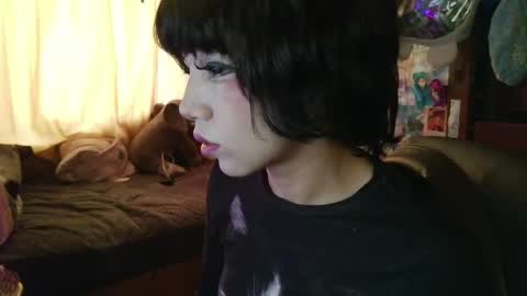 Terra Elowen online show from April 2026 01:38:01 PM