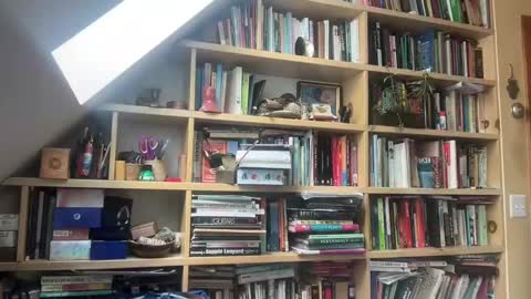 Snapshot of terraworship chatting on March 2025 06:01:02 PM Terra Worship Findomme online show from March 2025 06:01:02 PM