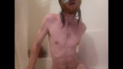 terrywillow online show from February 2026 05:52:01 AM