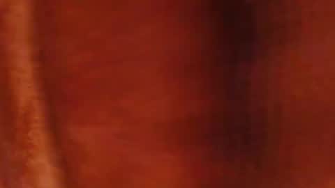 Snapshot of tetuo2 chatting on March 2026 11:03:01 AM tetuo2 online show from March 2026 11:03:01 AM