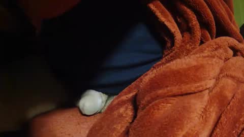 Snapshot of tetuo2 chatting on April 2026 08:40:01 AM tetuo2 online show from April 2026 08:40:01 AM