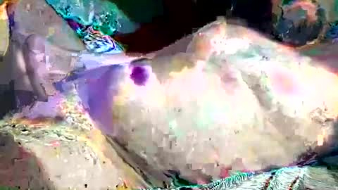 th3darksideofthemoon online show from February 2025 02:15:02 AM