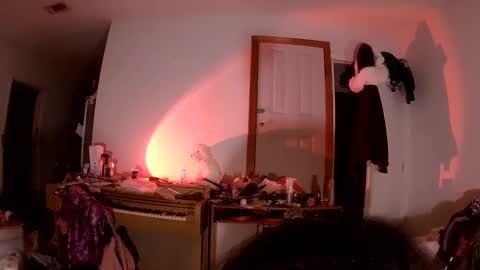 Snapshot of thaliagodiva chatting on January 2025 02:10:01 AM thaliagodiva online show from January 2025 02:10:01 AM