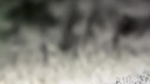 thankyoudaddy1 online show from March 2026 07:36:02 AM