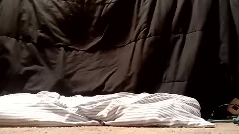 thatb1 online show from September 2025 05:13:01 AM