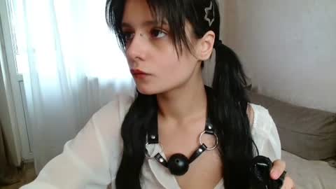 Snapshot of the_slutty_fox chatting on June 2026 08:31:01 AM the_slutty_fox online show from June 2026 08:31:01 AM