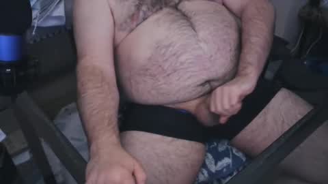 The Bear King online show from January 2025 05:56:01 AM