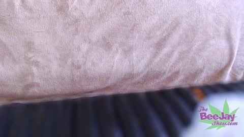 TheBeeJayShow online show from December 2024 08:12:01 AM