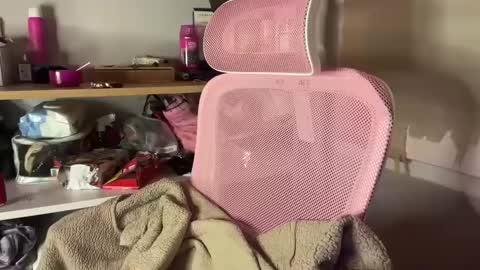 thecontcobracock24cm online show from February 2025 12:42:01 AM