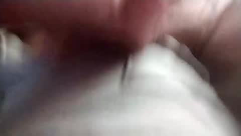 Venice man online show from October 2025 09:47:02 PM