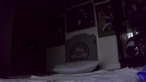 thegreat6268469 online show from January 2025 12:40:02 PM