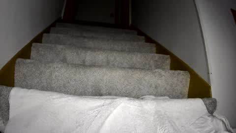 thegreat6268469 online show from March 2025 12:10:02 AM