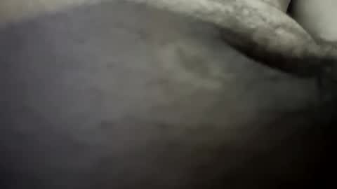 thehousedog online show from January 2026 12:32:02 PM