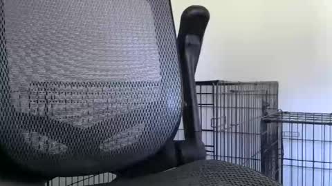 themaneb online show from October 2025 02:49:01 PM